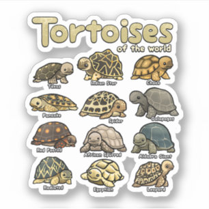 Sticker Tortues Animaux de la Tortue Reptile du monde
