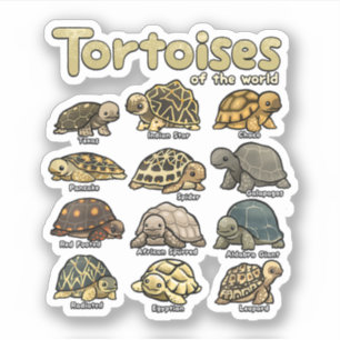 Sticker Tortues Animaux du Monde Reptile Mignon Tortue