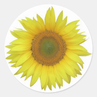 Sticker tournesol