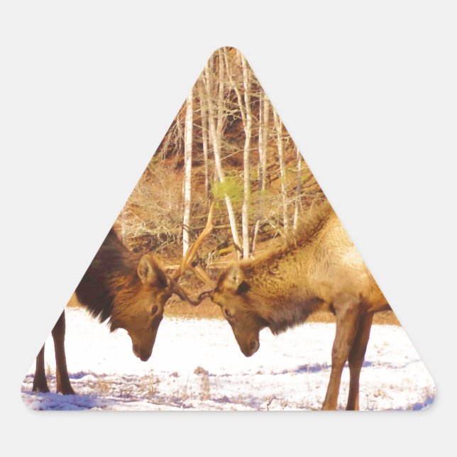 Sticker Triangulaire 2~ deux Bull Elk dans la neige (Devant)