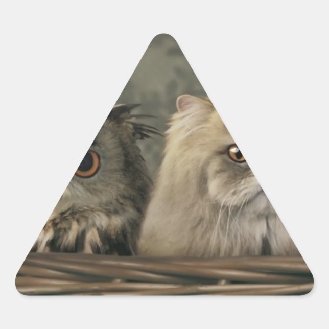 Sticker Triangulaire 3 Chats et une Chouette dans un panier (Devant)