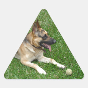 Sticker Triangulaire 3 german-berger-dépôt.png