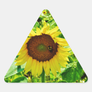 Sticker Triangulaire Abeille sur tournesol jaune