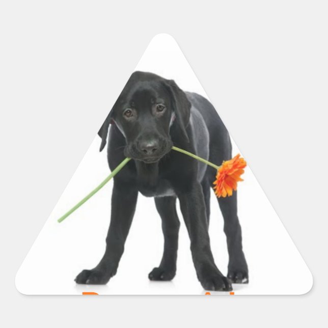 Sticker Triangulaire adhésif chien/fleur (Devant)