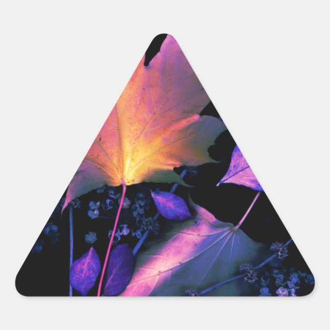 Sticker Triangulaire Autumn Leaves (Devant)