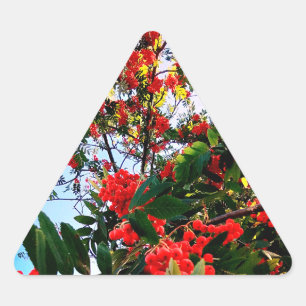 Sticker Triangulaire Baies rouges