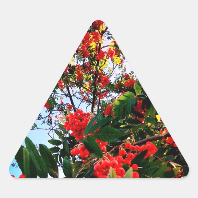 Sticker Triangulaire Baies rouges (Devant)