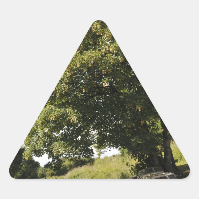 Sticker Triangulaire Bateaux à canaux (Devant)