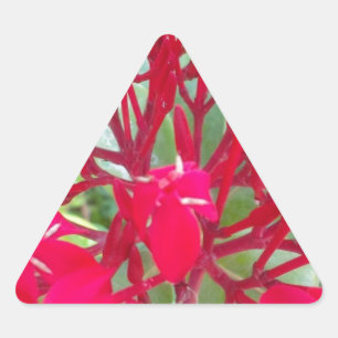 Sticker Triangulaire Beau Kaléidoscope d'Asclépiade Rouge Colorée