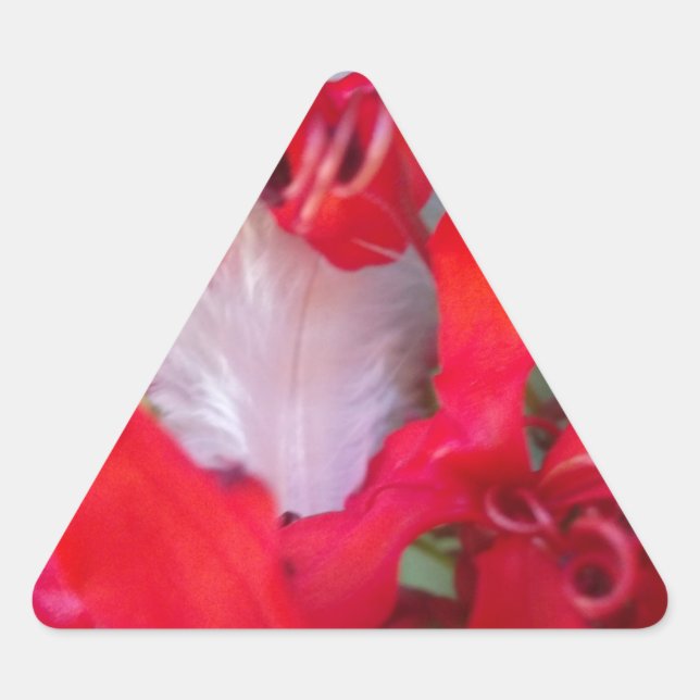 Sticker Triangulaire Beauté délicate : Fleur rouge avec plumes blanches (Devant)