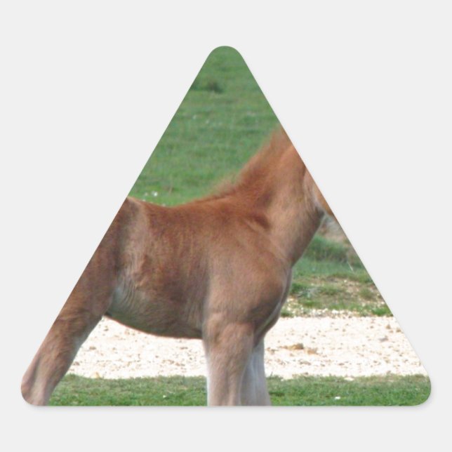 Sticker Triangulaire Bébé mignon Destin Dons Cadeaux Springtime Adorabl (Devant)