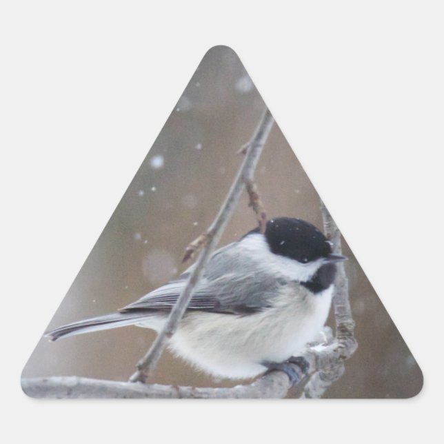 Sticker Triangulaire Bécasseau noir - Songbird (Devant)