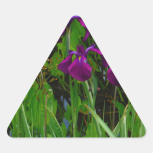 Sticker Triangulaire Belle Iris Violet