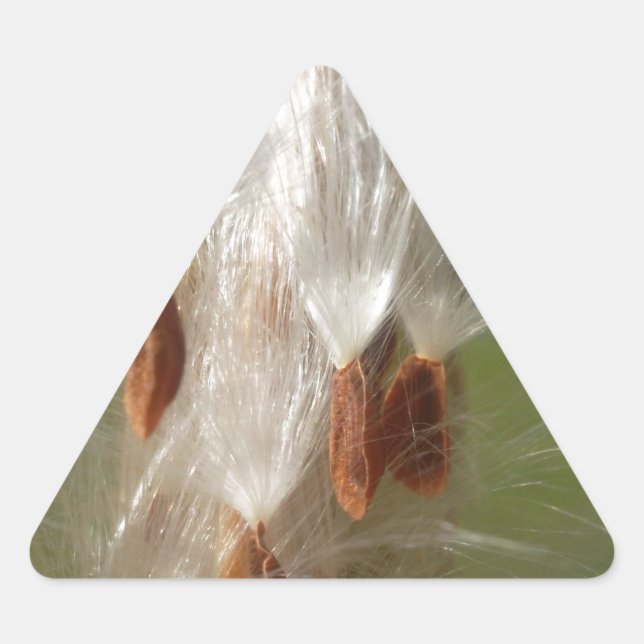 Sticker Triangulaire Belle Magie Milkweed : Une conception de vol Skywa (Devant)