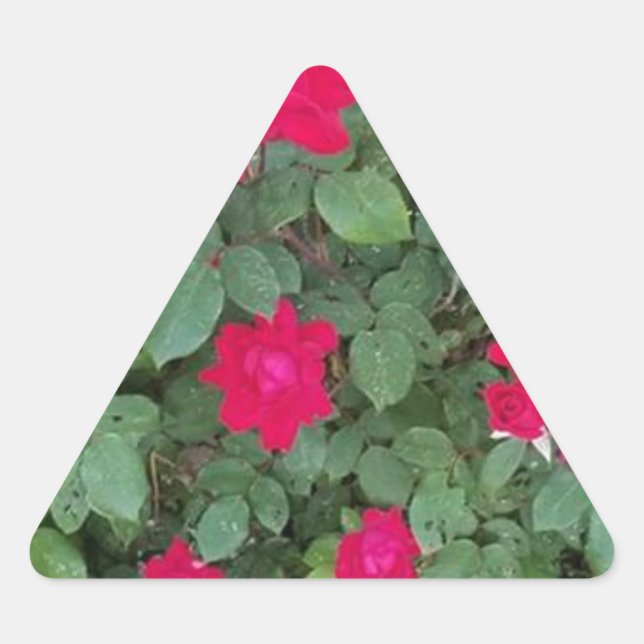 Sticker Triangulaire Belles Fleurs (Devant)