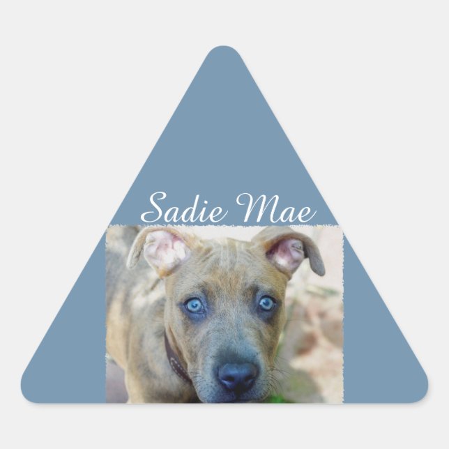 Sticker Triangulaire Brindle Pit Bull Puppy par Shirley Taylor (Devant)