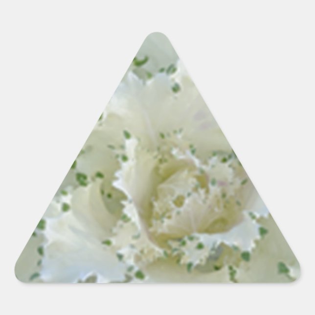 Sticker Triangulaire Cactus (Devant)