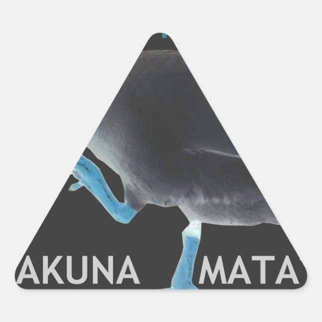 Sticker Triangulaire Canard avec moi se réveille comme ça & Hakuna Mata (Devant)