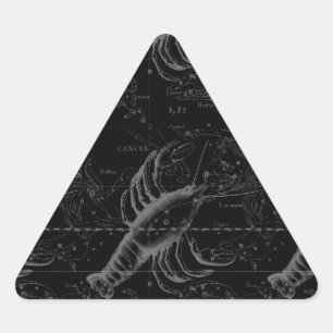 Sticker Triangulaire Cancer Constellation Hevelius 1690 sur Noir
