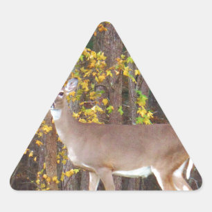Sticker Triangulaire Cerf devant l'arbre d'automne jaune