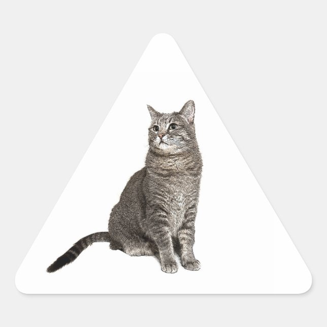 Sticker Triangulaire Chat abyssinien (Devant)