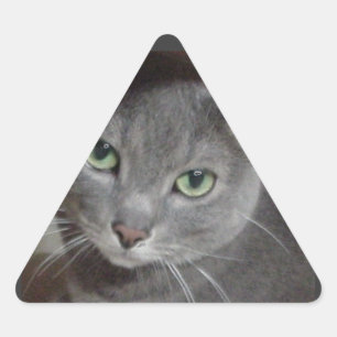 Sticker Triangulaire Chat bleu russe