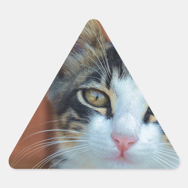 Sticker Triangulaire Chat sucré aux yeux enchanteurs (Devant)
