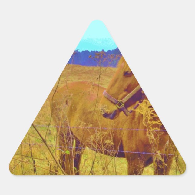 Sticker Triangulaire Cheval de couleur rétro (Devant)