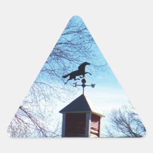 Sticker Triangulaire Cheval Vane Météo Ciel Bleu