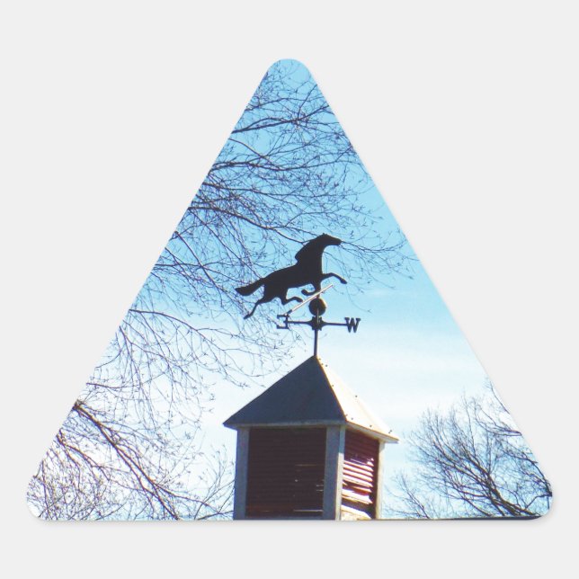 Sticker Triangulaire Cheval Vane Météo Ciel Bleu (Devant)
