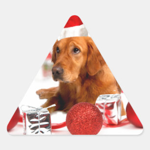Sticker Triangulaire Chien Retriever doré avec chapeau de Père Noël rou