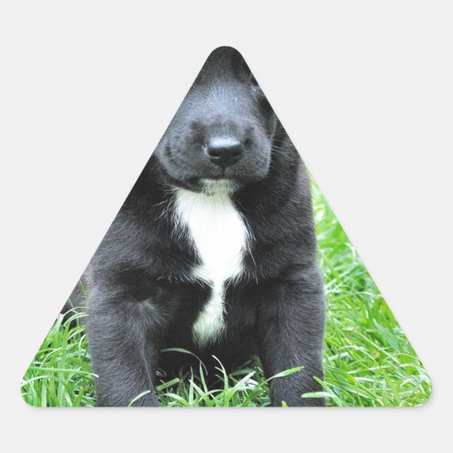 Sticker Triangulaire Chiot totalement adorable (Devant)