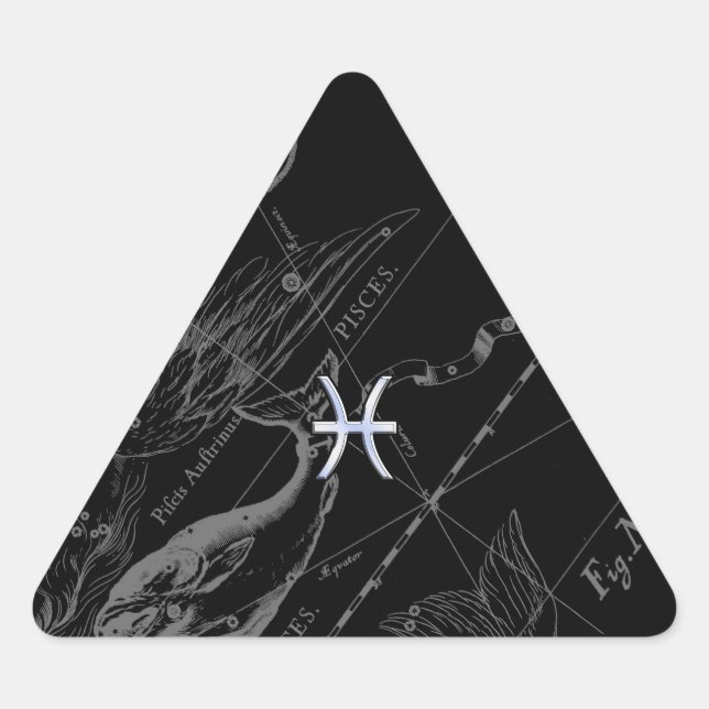 Sticker Triangulaire Chrome comme Pisces Zodiac Connexion Black Heveliu (Devant)