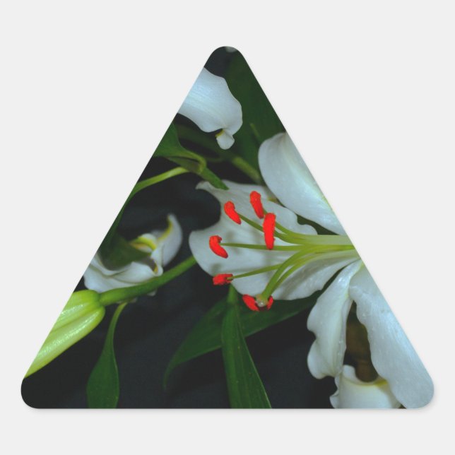 Sticker Triangulaire Collection Irlandaise de laiton et de fleurs (Devant)