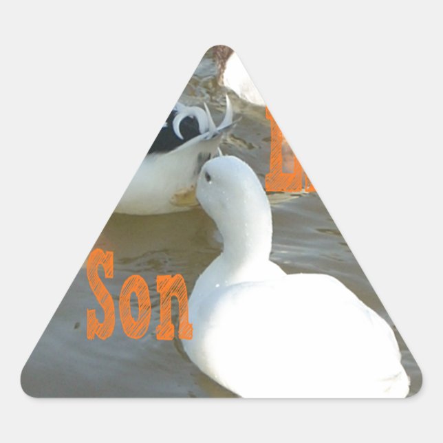 Sticker Triangulaire Comme Père Comme Fils. (Devant)