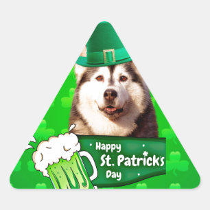 Sticker Triangulaire Cute Siberian Husky Chien Casquette St. Patrick's