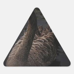 Sticker Triangulaire Cygne noir