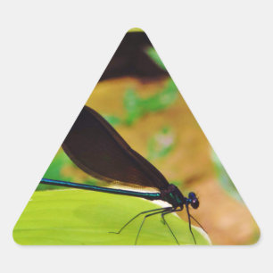 Sticker Triangulaire Damselfly et Rose