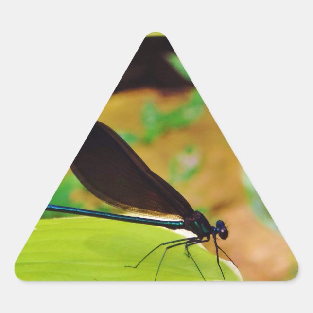 Sticker Triangulaire Damselfly et Rose (Devant)