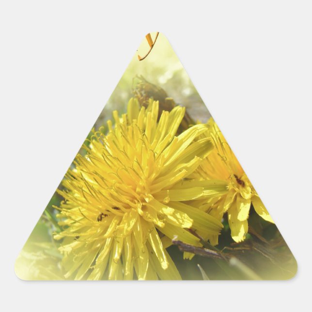 Sticker Triangulaire Dandelions - Un Hi ensoleillé (Devant)