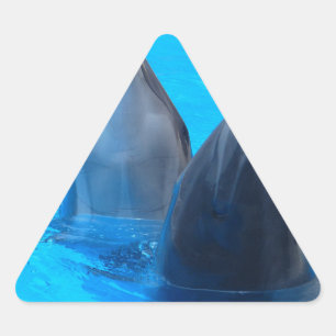 Sticker Triangulaire dauphin à gros nez poisson marin océan sous l'eau