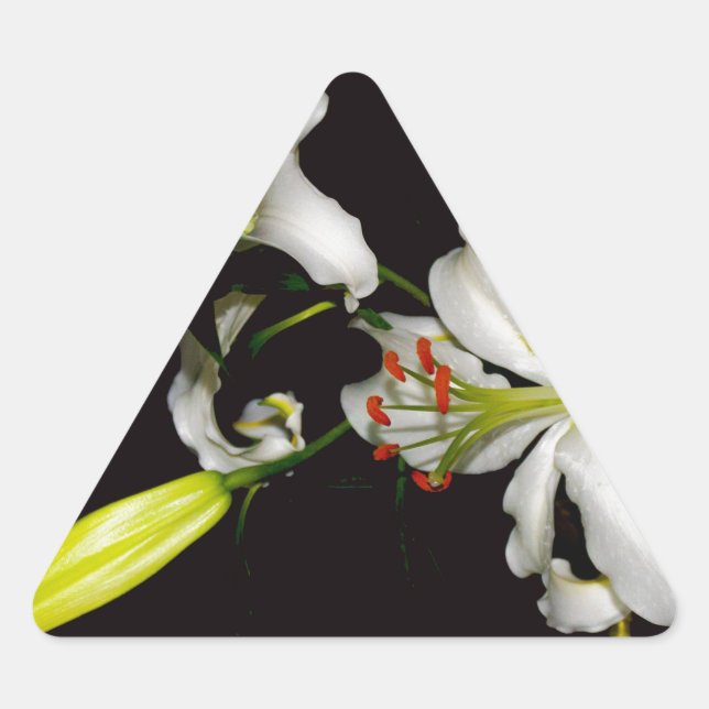 Sticker Triangulaire Design irlandais - Collection de laiton et de fleu (Devant)