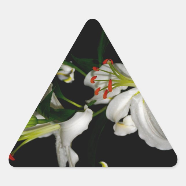 Sticker Triangulaire Design irlandais - La collection Flower (Devant)