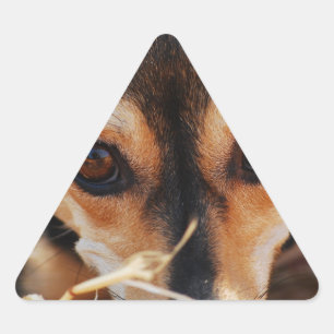 Sticker Triangulaire Doux chien pondre dans le foin