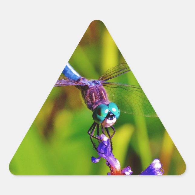 Sticker Triangulaire Dragonfly (Devant)