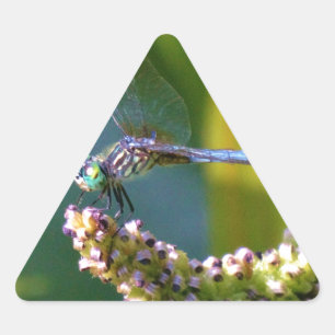 Sticker Triangulaire Dragonfly aux yeux turquoises