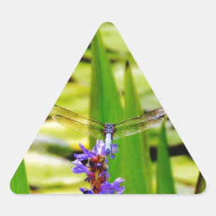Sticker Triangulaire Dragonfly lotus and purple flower