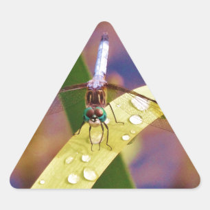Sticker Triangulaire Dragonfly sur la feuille de pluie