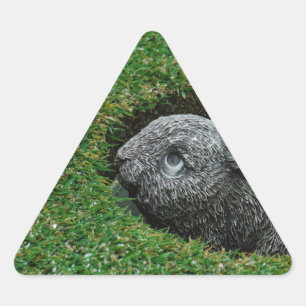 STICKER TRIANGULAIRE DSCF0652.JPG