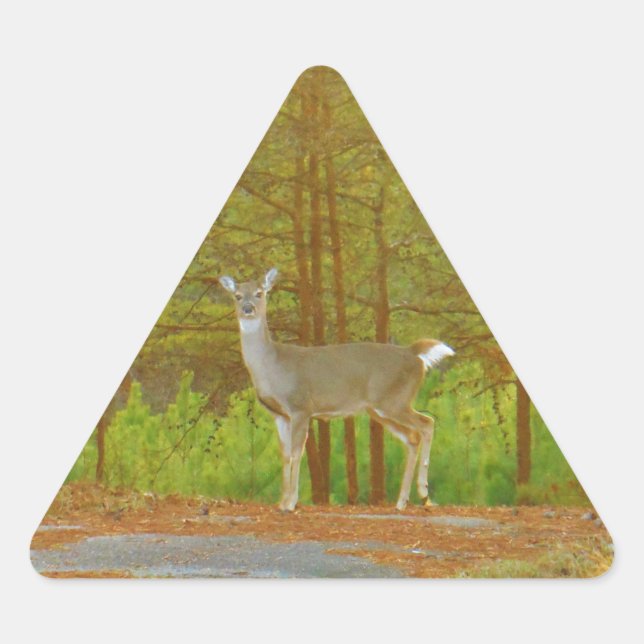 STICKER TRIANGULAIRE DSCF4041.JPG (Devant)